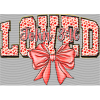 Valentine's Day-QRJ  5957